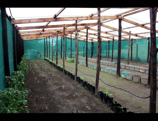 657HA FARM FOR SALE IN KOMGA RURAL